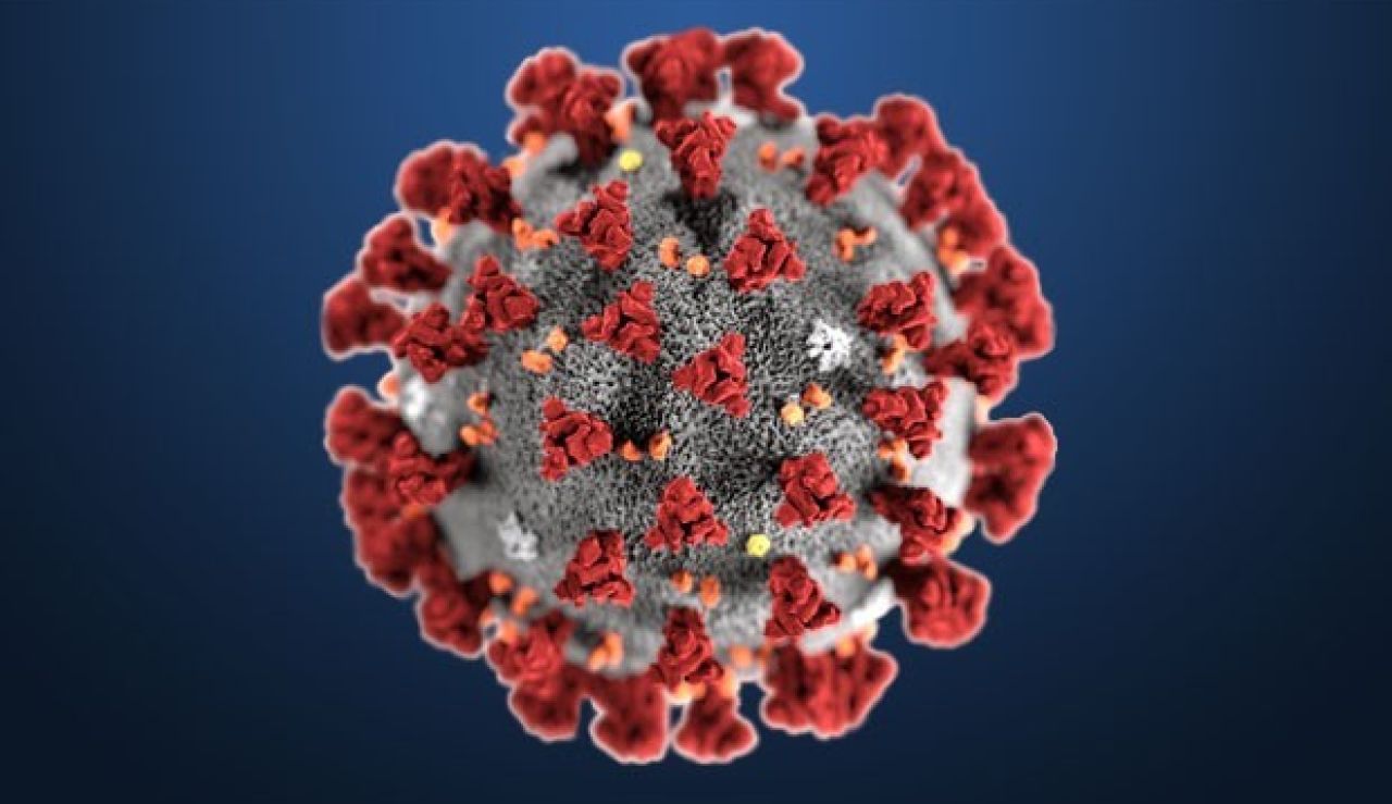 Evitar el contagio de Coronavirus Evitar el contagio de Coronavirus