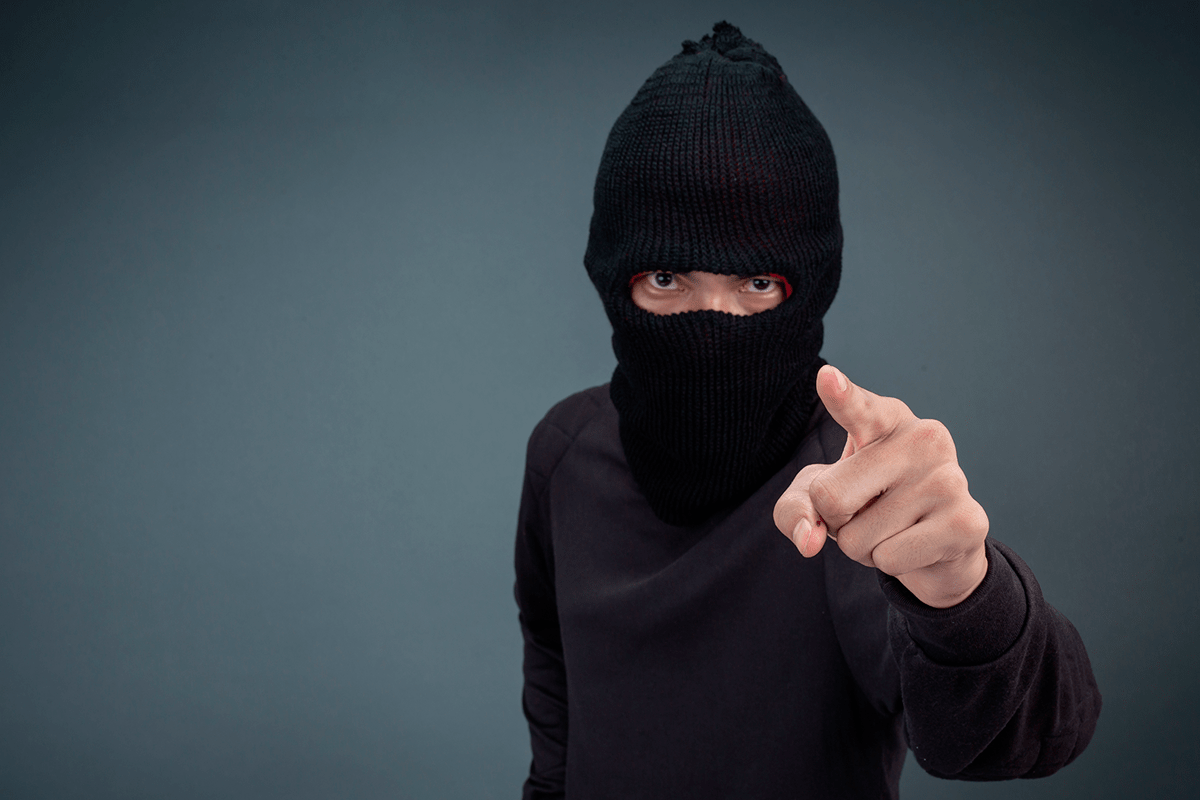 principales causas de robo Principales causas del robo
